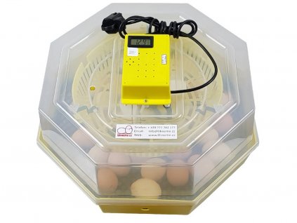 Líheò na vejce CLEO 5 TH