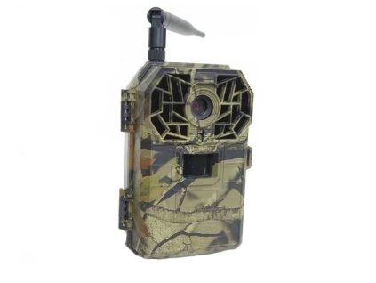 2733 fotopast gsm bunaty