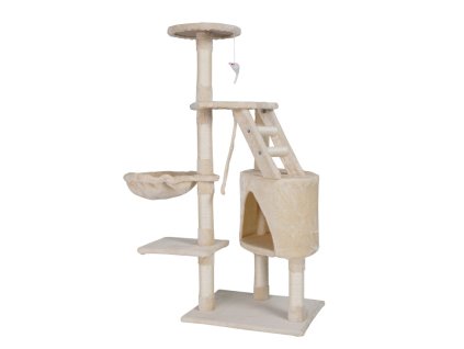 CAT402P Beige%20%284%29 750x750