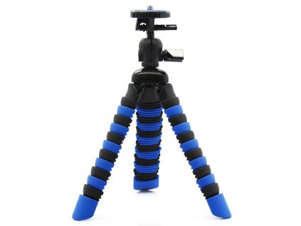 mimg MDMOCTOPUSSMALLBLUE