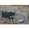 Profesionální past na lišky, kuny, vydry a kočky TRAP ST118x34x34V2