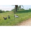 Nevodivá síť pro drůbež KERBL 292279, 106 cm x 25 m / 2 hroty