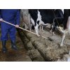 3806 3 hrabe oboustranne krebl 4