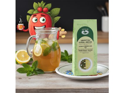 Ledový čaj Citrus zázvor 50 g Oxalis