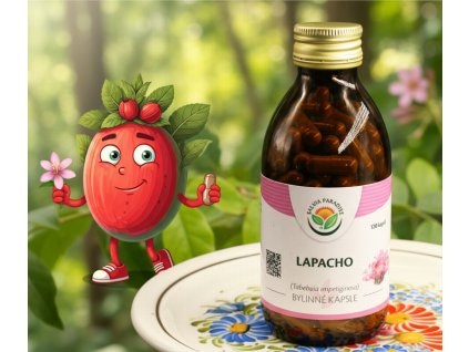 Lapacho kapsle 120 ks