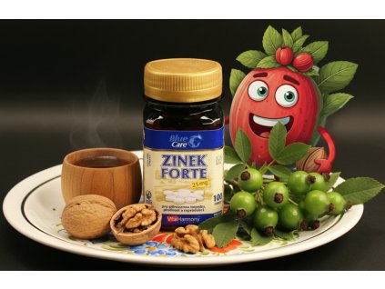 Zinek Forte 25 mg (100 tbl.)