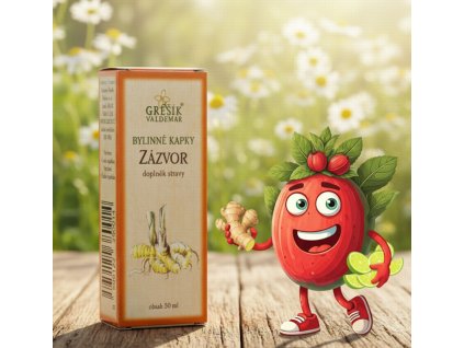 Zázvor kapky 50 ml