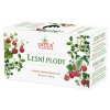 Lesní plody 20 n.s. přebal GREŠÍK Ovocný čaj