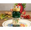 Ginkgo 60 mg (100 tob.)