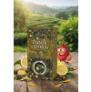 Green & Ginger & Lemon z.č. 70 g krab. GREŠÍK Čaje 4 světadílů