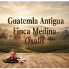 Guatemala Antigua Finca Medina SHB káva 0,5 kg Oxalis