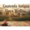 Guatemala Antigua Finca Medina SHB káva 0,5 kg Oxalis 2