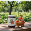 Darbo Džem zahradní jahody extra 450 g 2