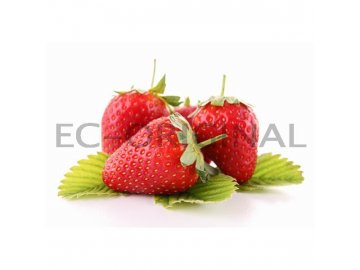 Jahoda (Strawberry) - Příchuť Flavour Art