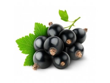 Černý rybíz (Blackcurrant) - Příchuť Flavour Art