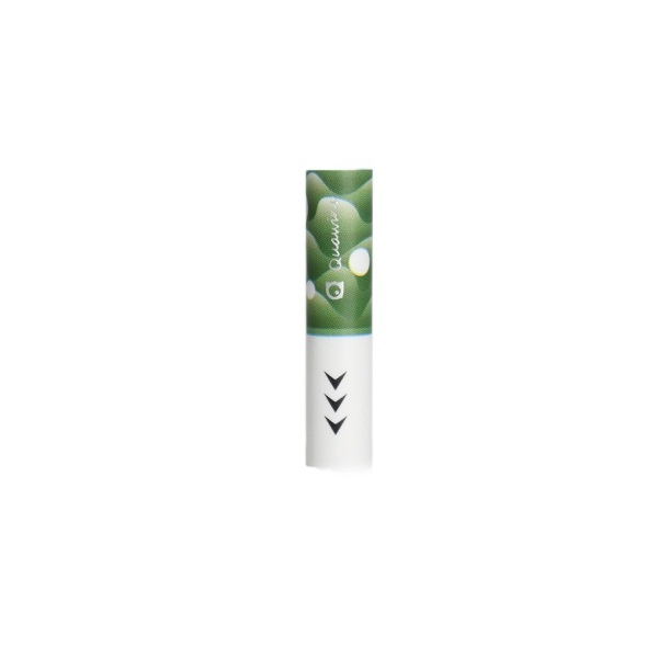 Quawins Vstick Pro náhradní náustek (filtr styl) barevné Barva: Zelená