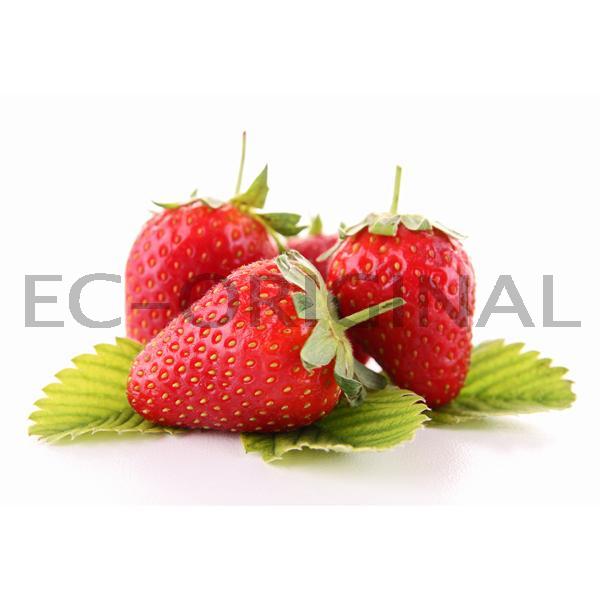 Jahoda (Strawberry) - Příchuť Flavour Art Množství: 10ml