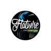 flatwire ni80 1