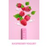 elf bar nc600 raspberry yogurt