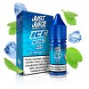 CZ NICSALT 10ML 11MG ICE PURE MINT BOX fruits