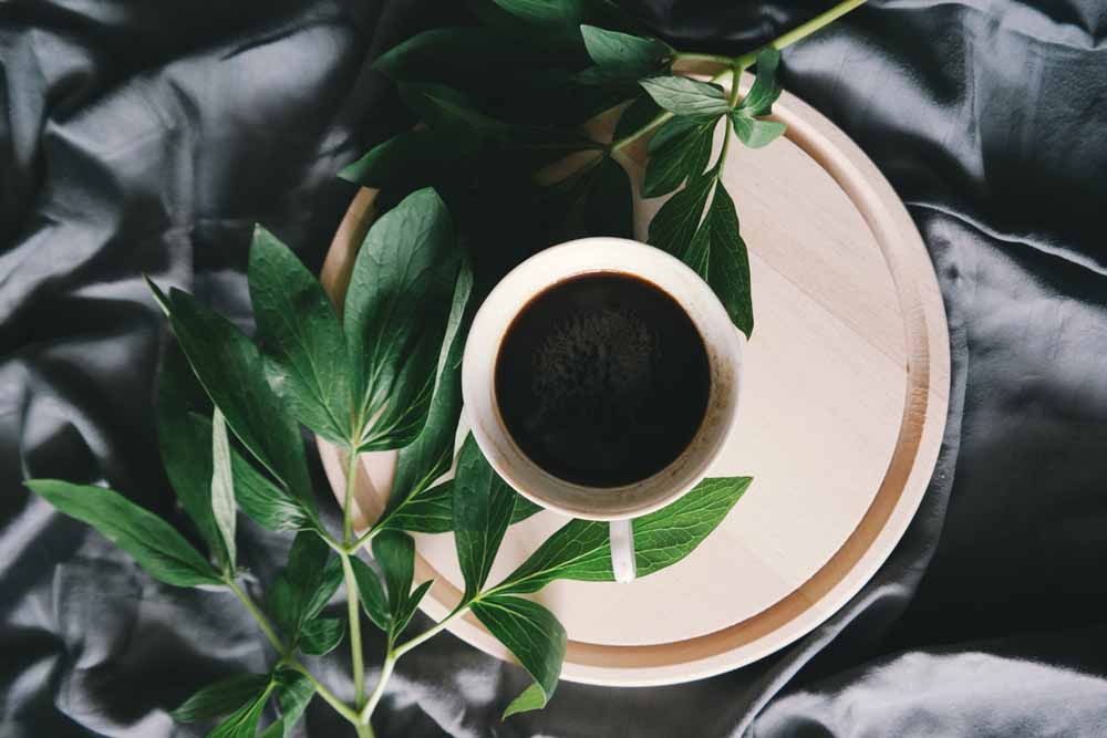 Kardamom do kávy nebo čaje