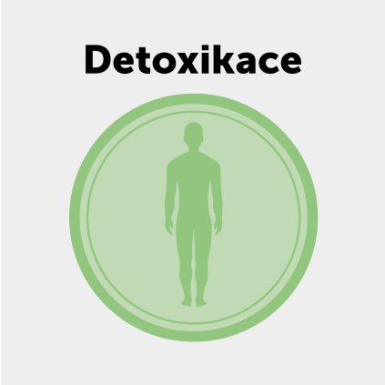 Webinář - Detoxikace