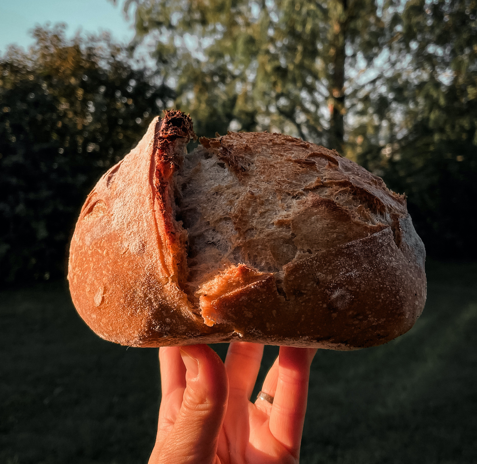 Jak začít s chlebem