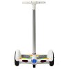 segway-chariot-bily-2