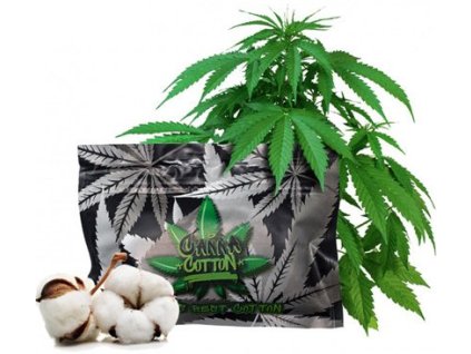 Canna Cotton organická vata
