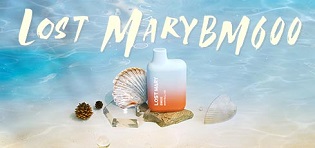 Lost Mary