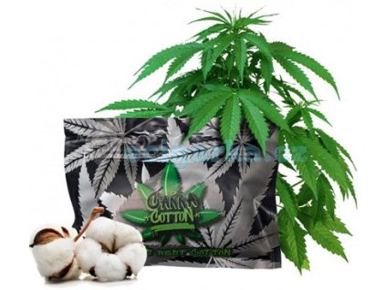 canna cotton organicka vata