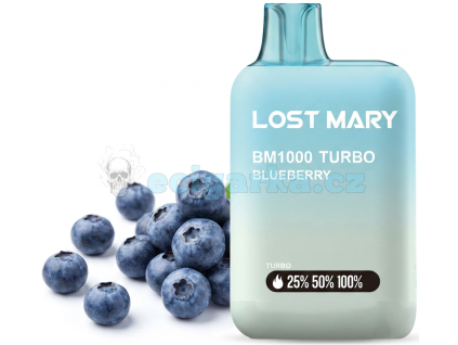 Lost Mary Borůvka