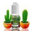 vyrn 8279mockup Art Vap Cactus 1