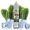 cactus sels de nicotine 10ml aisu by zap juice
