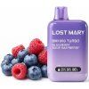 Lost Mary borůvka malina