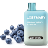 Lost Mary Borůvka