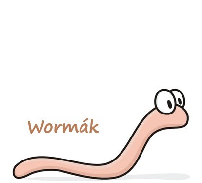 WormBag - Jaké jsou moje zkušenosti po 4 měsících