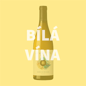 Bílá vína