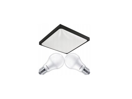 52993 led stropni svitidlo 2xe27 cerne ip20 2x zarovka philips 10w