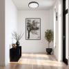 Kulaté černé přisazené stropní svítidlo n/t 2x E27 + 2x LED žárovka