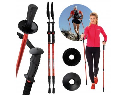 37847 sada holi pro nordic walking 2 ks