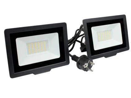 44641 44641 led reflektor 2x50w 1 5m kabel studena barva