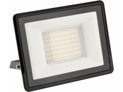 40004 40004 led reflektor master 50w ip65 neutralni bila