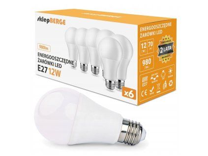 SADA 6x LED žiarovka E27 12W - studena biela