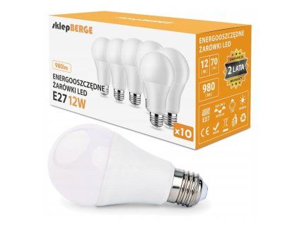 SADA 10x LED žiarovka E27 12W - studena biela