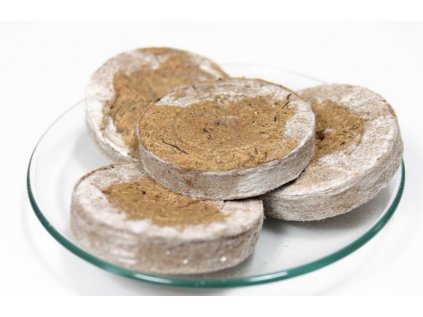 Snímka obrazovky 2026 01 07 133938