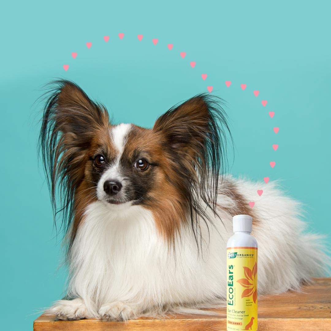 MÁTE PROBLÉMY S UŠIMA U PSŮ?