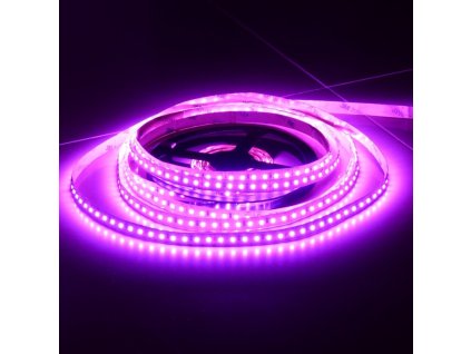 LS 120LED SMD2835 15W 660Lm PINK 24V