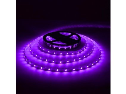 LS 60LED SMD3528 4,8W 60Lm Purple 12V white PCB