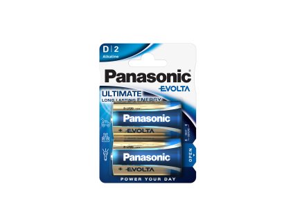 Panasonic LR20EGE/2BP EVOLTA